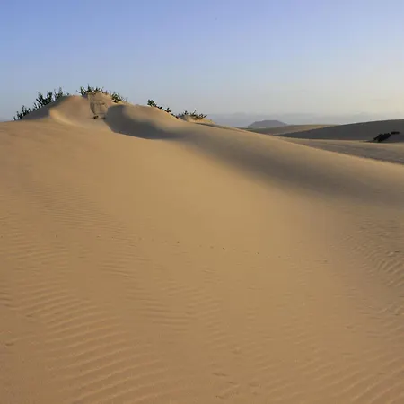 בית הארחה Charro