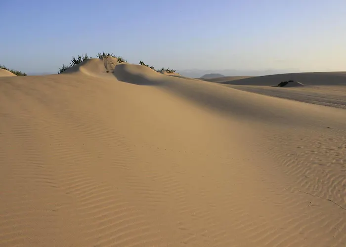 Πανσιόν Charro
